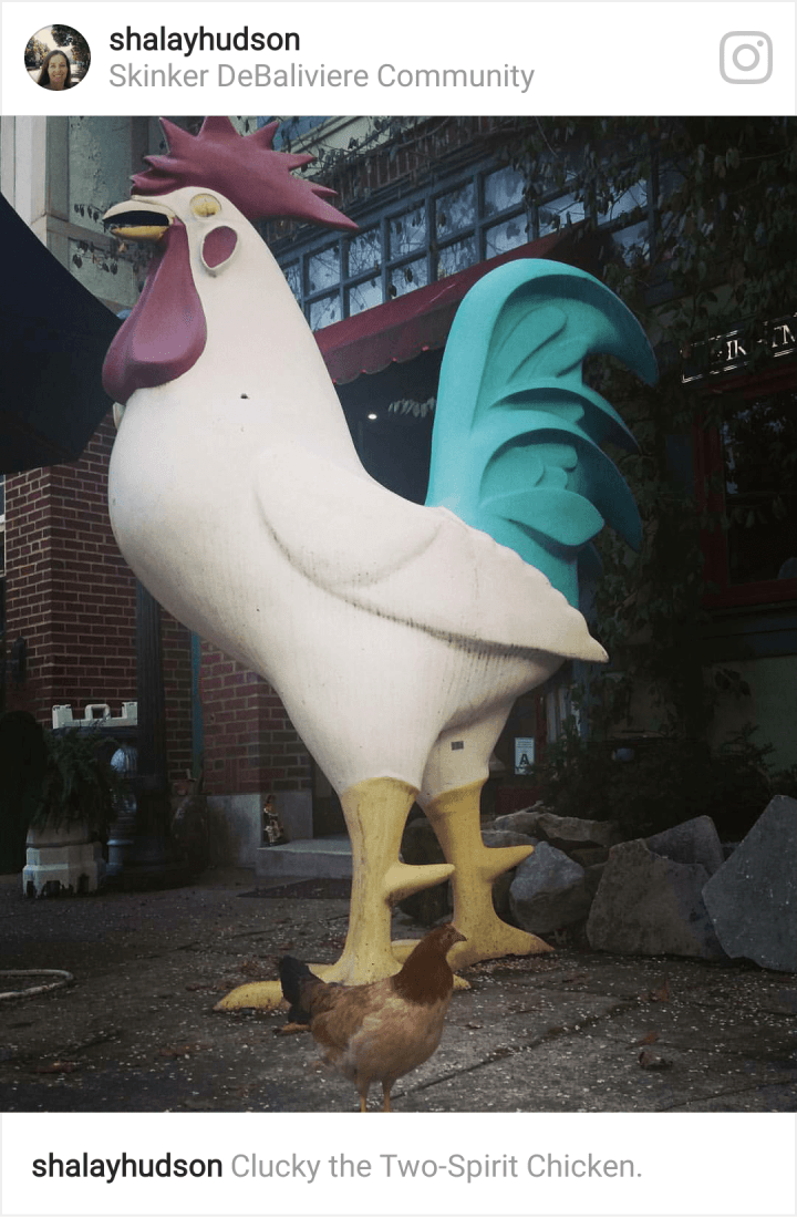 Clucky the Two-Spirit Chicken